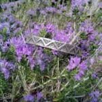 Αrtemis Bracelet - Image 2