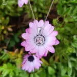 Rosette Pink Necklace