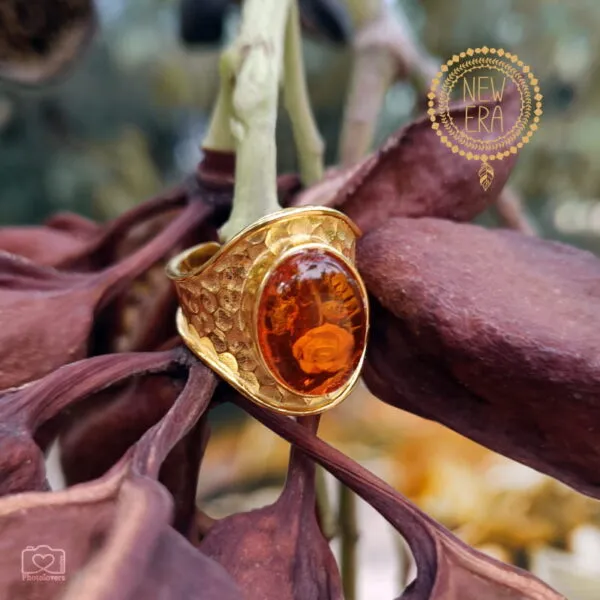 Amber Rose Ring ΑΥΞΟΜΕΙΟΥΜΕΝΟ Δαχτυλίδι Δαχτυλίδι Ασημένιο 925 Σφυρήλατο 20mm με Οβάλ Ημιπολύτιμες Πέτρες 10x14mm ΚΕΧΡΙΜΠΑΡΙ ΧΡΥΣΟ Αισθανθείτε την δύναμη του δαχτυλιδιού Amber Rose χάρη στην φυσική πέτρα από Κεχριμπάρι. Ενισχύστε την αύρα σας και τις φθινοπωρινές σας εμφανίσεις.
