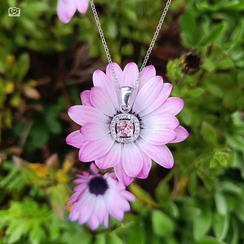 Rosette Pink Necklace - Image 1